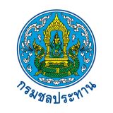 Website Logo